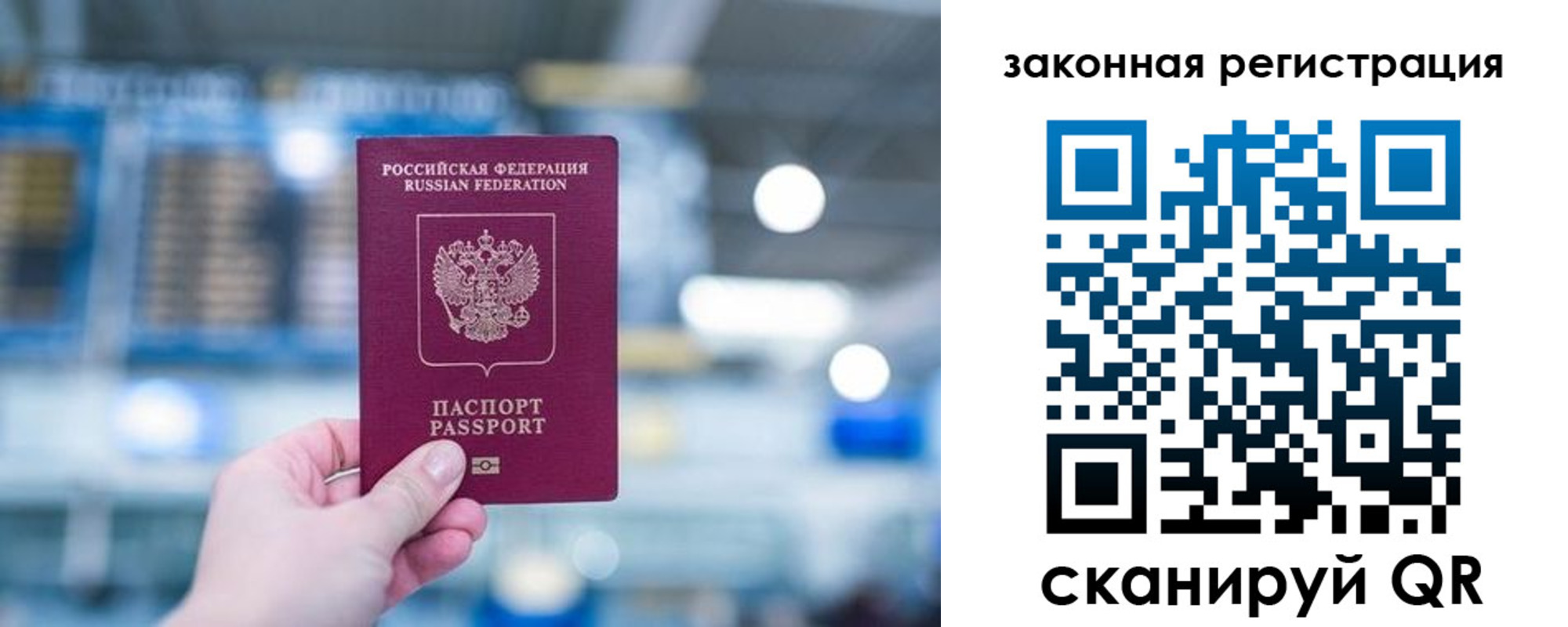 прописка поиск в Ершове